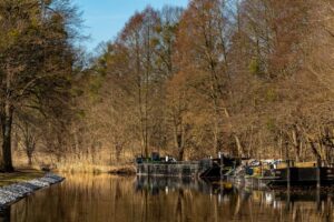 Read more about the article Portfolio Development Fundamentals That Stand the Test of Time