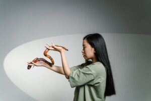 Read more about the article Overcoming the Learning Curve in Art History Influences